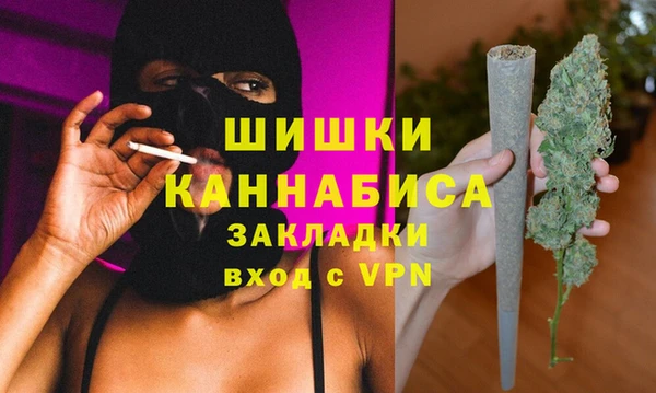 ECSTASY Белокуриха